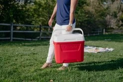 IGLOO Laguna 28QT Cool Box Red 13 IGLOO Laguna 28QT Cool Box Red -Outdoor Camping Store k7261c800915913834b6a43a5a82e78a3