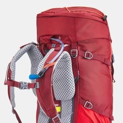 Quechua Children's Hiking/Trekking 40+10L Backpack MH500 -Outdoor Camping Store k878b395d4f024e2705e9dd81f56e708e