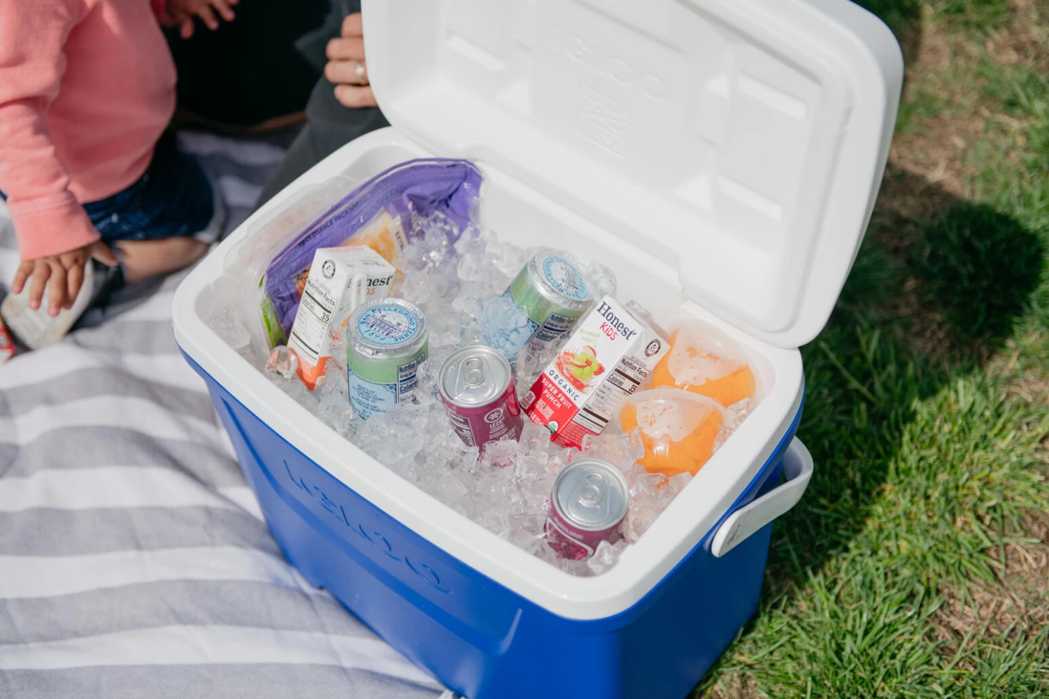 IGLOO Laguna 28QT Cool Box Red 9 IGLOO Laguna 28QT Cool Box Red - Image 9